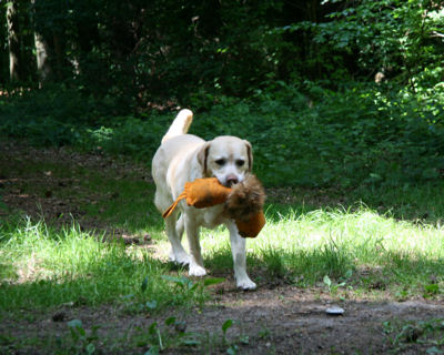 Jane mit Fuchsdummy